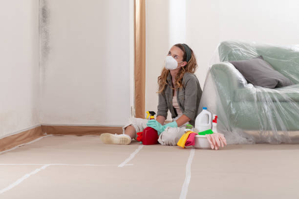 Reliable Mold Remediation contractor in Goodyear, AZ by WQB Mold Removal